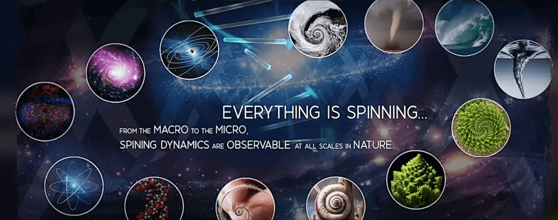 Golden Spiral in Nature