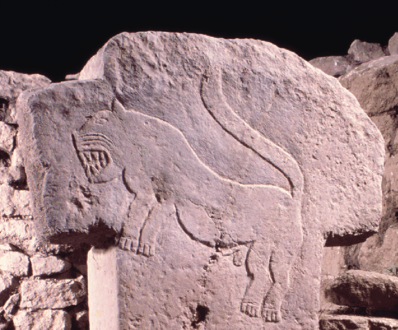 Photo of T-shaped pillar from Göbekli Tepe showing carved lion/zodiac symbols, representing alignment with Four Royal Stars (Aldebaran, Antares, Fomalhaut, Regulus) during year 8072 BC perihelion-solstice alignment