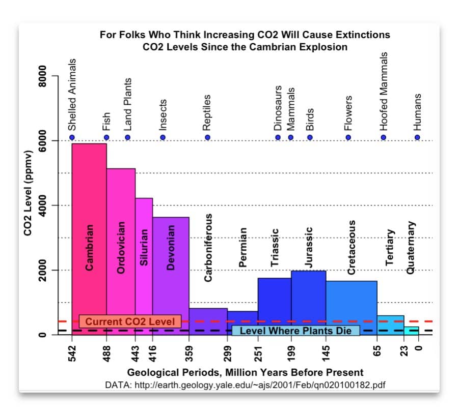 Graph showing atmospheric CO2 concentration over geologic time spanning 600 million years, demonstrating current 425 PPM level is historically low compared to periods exceeding 1,000-2,000 PPM, with Last Glacial Maximum at 170 PPM near plant survival threshold of 150 PPM