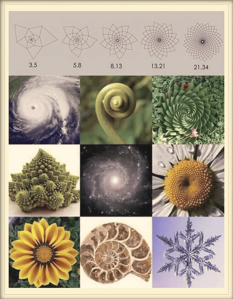 Fibonacci patterns